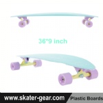 36*9 inch Pintail plastic Cruiser longboard Blue